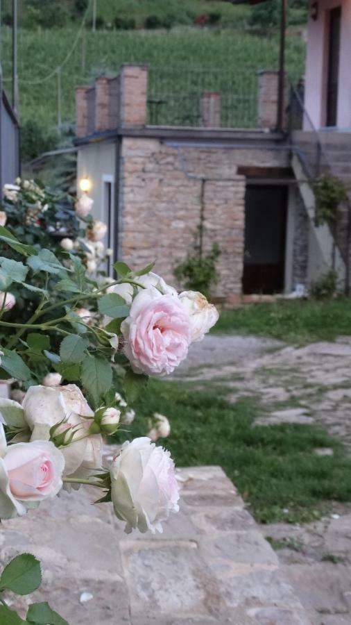 Corte Di Langa Cossano Belbo Dış mekan fotoğraf